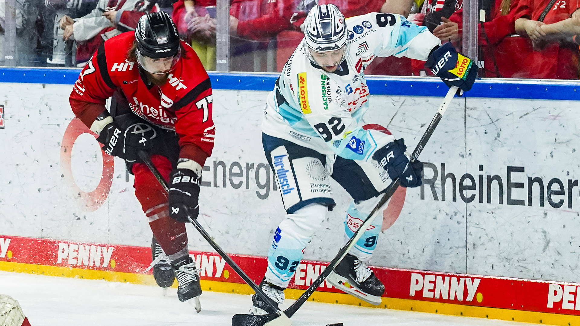 Kölner Haie gg. Dresdner Eislöwen